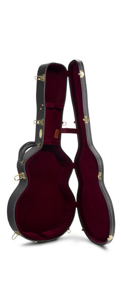 Inside of a Case for a Martin Guitar image number 6